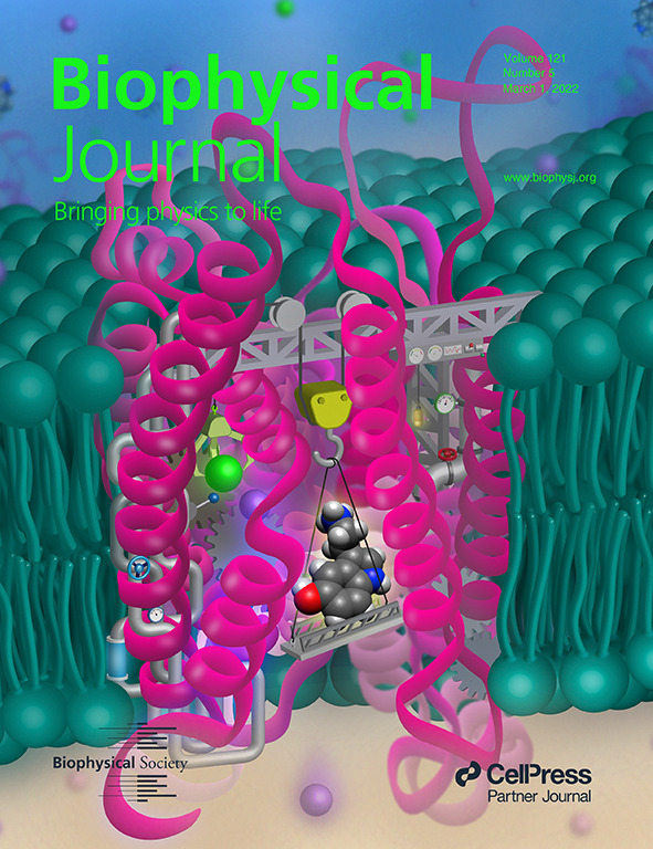 BiophysicalJ_Cover